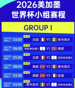 世界杯竞彩数据分析图表